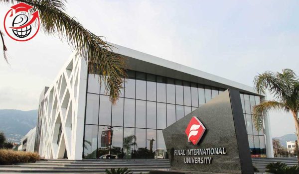 Final International University